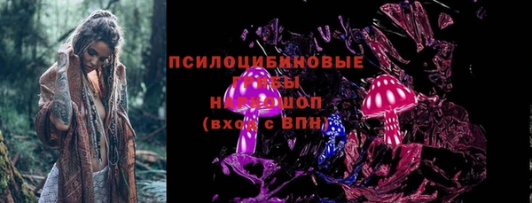 стаф Алексеевка