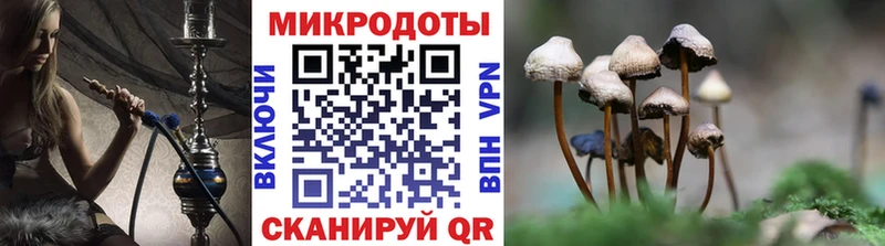 Псилоцибиновые грибы прущие грибы  площадка формула  Байкальск 